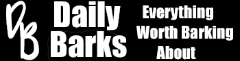 Daily Barks – Daily Updates for Dog Lovers