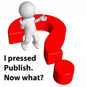 Blog Traffic After You Press Publish Blog Traffic After You Press Publish