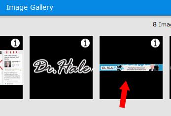 Sekect my logo