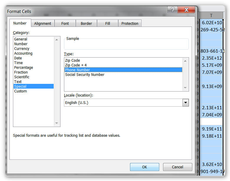 RTM and CRM - Reformat the Phone Column